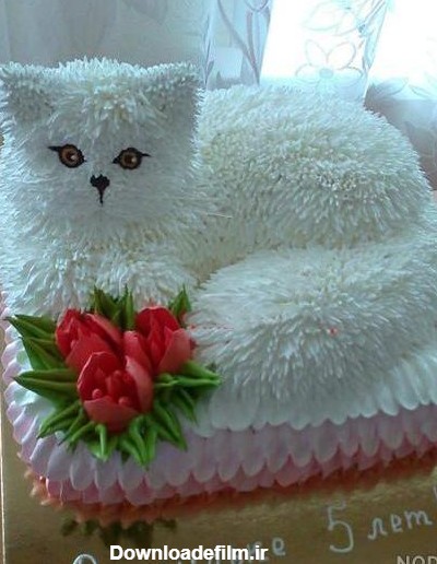 عکس کیک تولد گربه - عکس نودی
