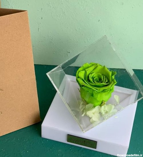 باکس گل رز جاودان سبز