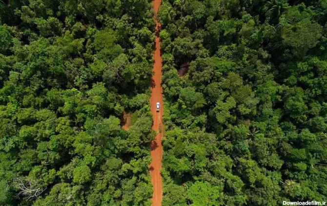 تصاویر جنگل آمازون، نمایش شکوه و سقوط طبیعت - کجارو