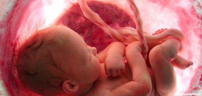 مراقبت از بند ناف در نوزاد تازه متولد شده | مجله نی نی سایت