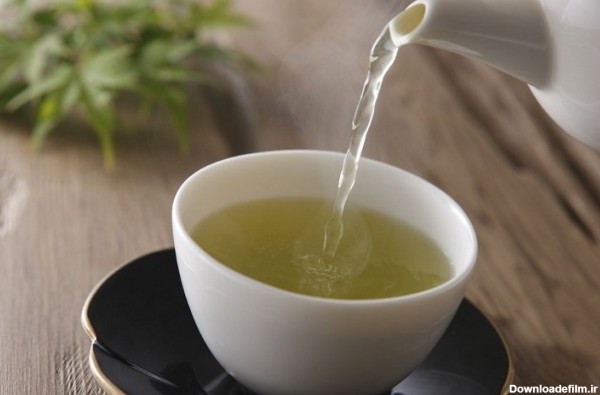 زیاده‌روی در مصرف چای سبز باعث ناباروری مردان می‌شود