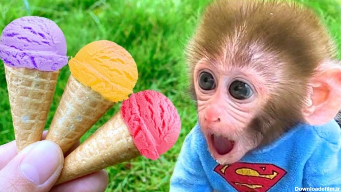 بچه میمون بامزه و خرید بستنی