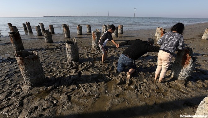 تصاویر| خلیج گرگان رو به مرداب شدن