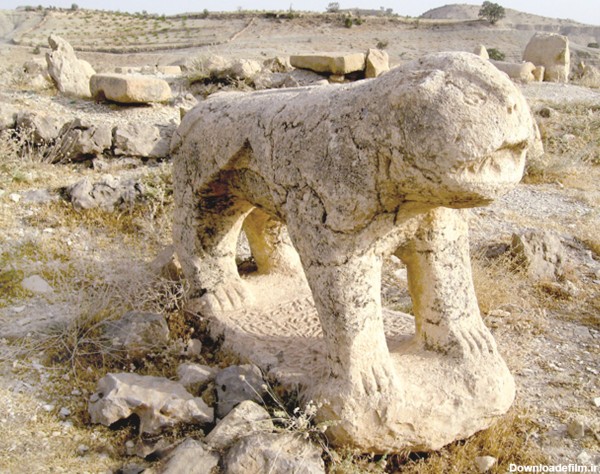 کسی صدای شیر های ۴۰۰ ساله فارس را نمی شنود - خبرآنلاین