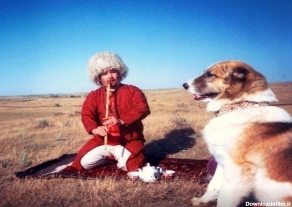 آلابای» یکی از مشهورترین نژادهای سگ جهان در ترکمنستان+تصاویر ...