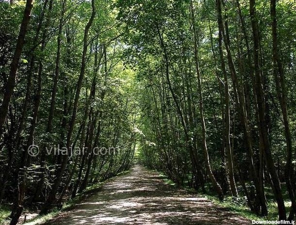 ویلاجار - پارک جنگلی کشپل نور - 893