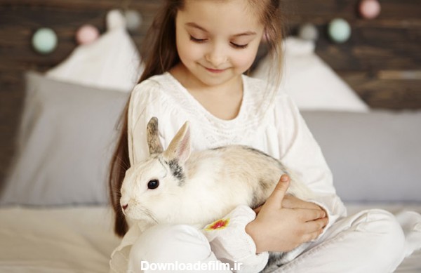 معرفی محبوبترین نژادهای خرگوش خانگی