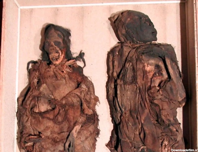عکس l سی‌تی‌اسکن قتل دلخراش مومیایی‌های آمریکای جنوبی را به تصویر کشید