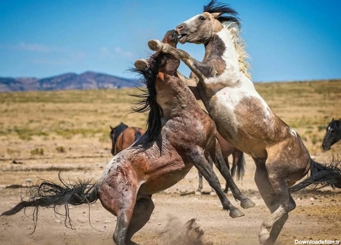 دیدنی های ایران در نوروز 98 / روستایی 1000 ساله در کنار دشت ...