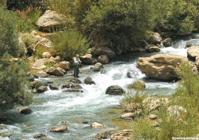 550 کیلومتر از رودخانه های استان گلستان باید لایروبی شود - تسنیم