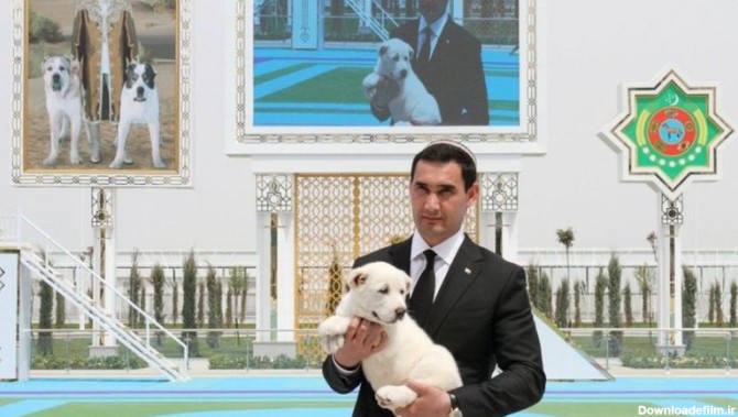 ترکمنستان برای گرامیداشت سگ آلابای، یک روز تعطیل عمومی اعلام کرد ...
