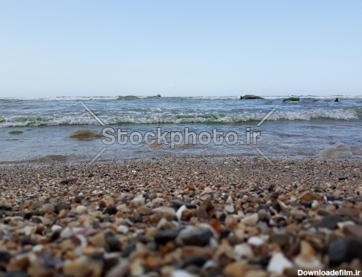 صدف های کنار دریا - دریا - طبیعت - استوک فوتو - خرید عکس و ...