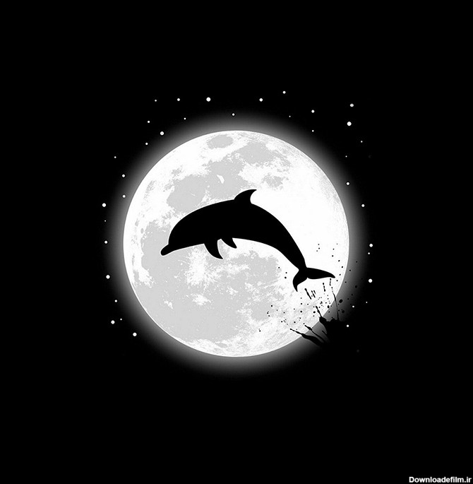 عکس سیاه دلفین در ماه - دانلود رایگان - پارس پی ان جی - PARSPNG