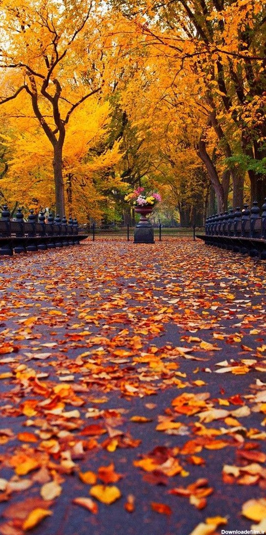 عکس پس زمینه پاییز برای موبایل
