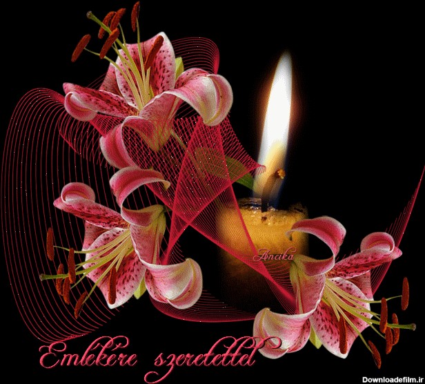 تصاویر متحرک شمع و گل