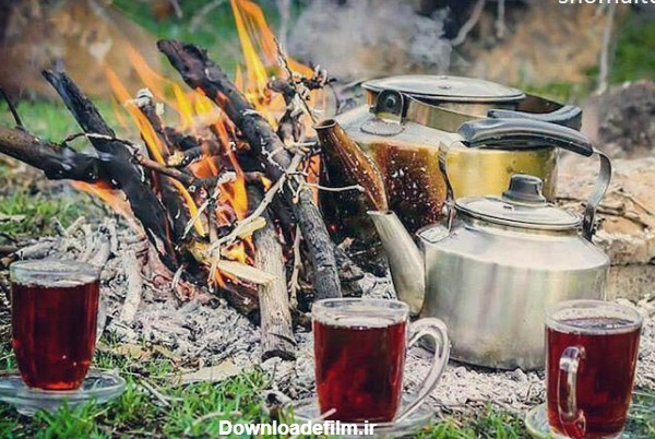چای طبیعت و طبیعت دوستان عزیز - فروش بهترین چای لاهیجان اصل و چایی ...