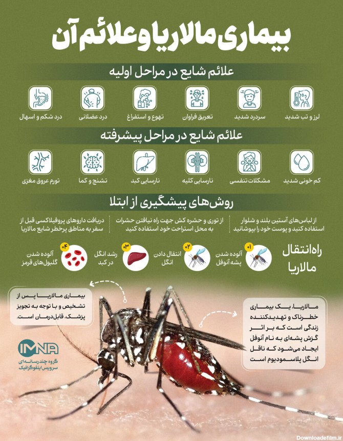 ایمنا - بیماری مالاریا از علائم تا پیشگیری + درمان گزش پشه آنوفل