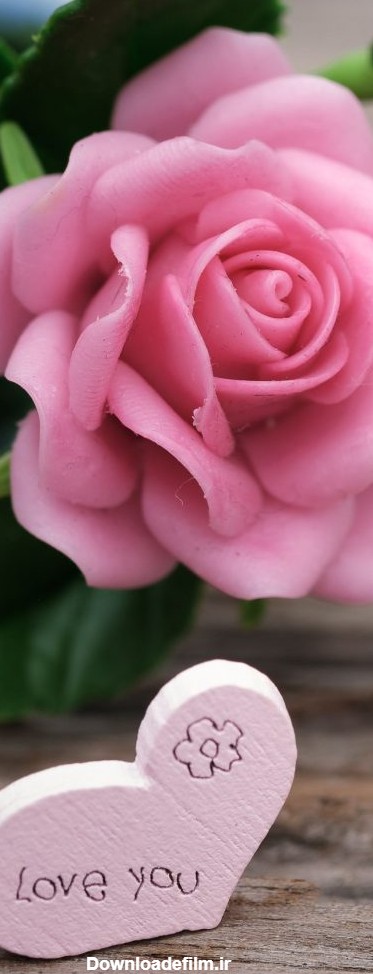 عکس گل زیبا برای صفحه گوشی