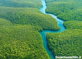 جنگل آمازون، یکی از عجایب هفتگانه جدید جهان (+تصاویر)