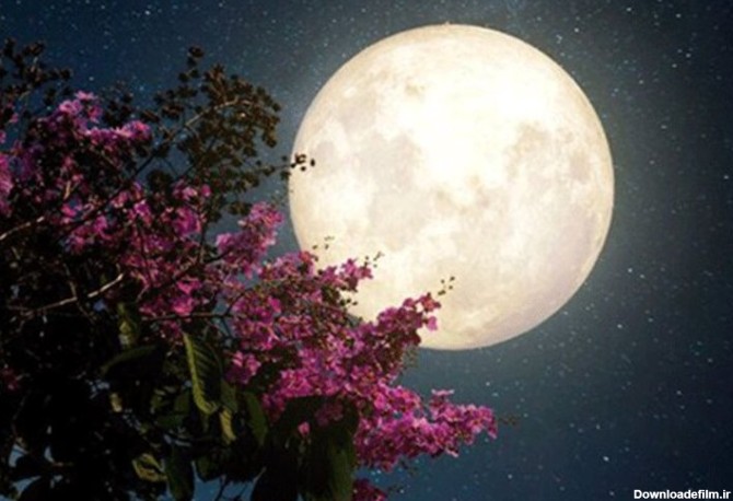 تصاویر «ابر ماه صورتی» در آسمان ایران + فیلم | شهرآرانیوز