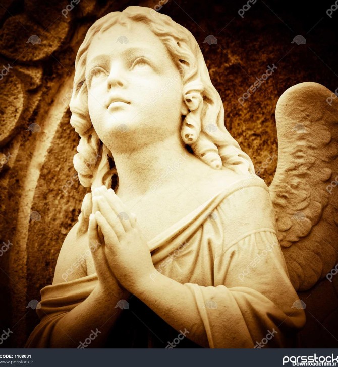 فرشته دعا در سایه های قهوه ای 1108031