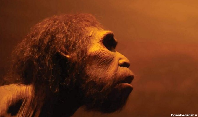 انسان های اولیه چه فرقی با انسان امروزی داشتند؟ | لست سکند