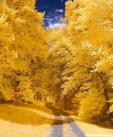 طبیعت زیبای پاییزی که هزاران نفر آن را می‌بینند (عکس)