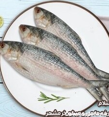 خرید و قیمت ماهی صبور تازه صید روز (پک یک کیلویی)بسیار لذیذ مناسب ...