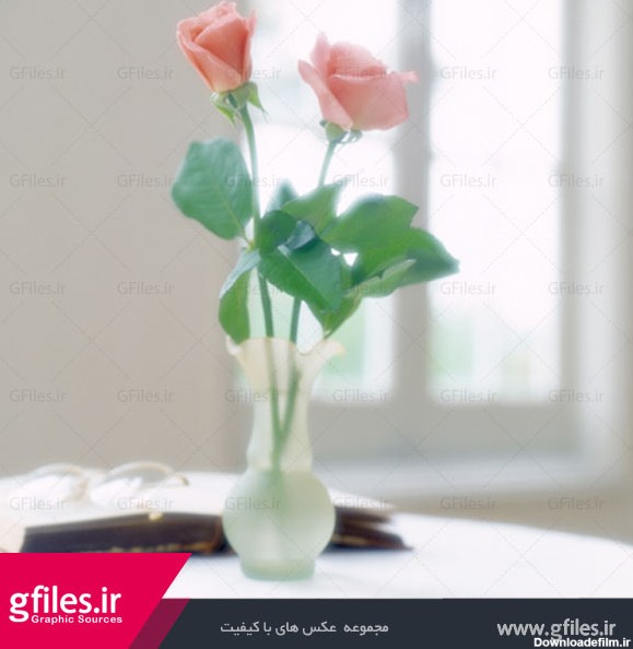 عکس رمانتیک دو گل رز صورتی ملایم در گلدان شیشه ای