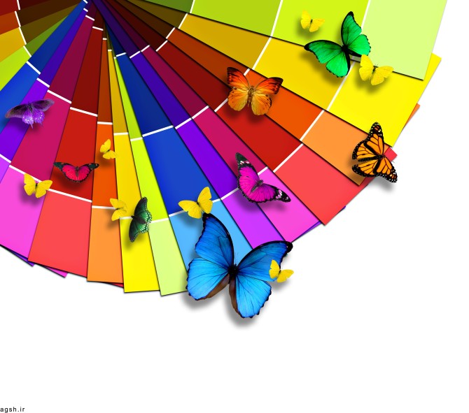 پروانه های رنگی - گالری تصاویر نقش