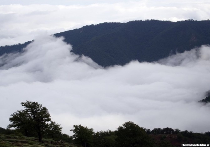 جنگل ابر جایی که آسمان به زمین می آید/لذت شیرین قدم زدن روی ابرها+ ...