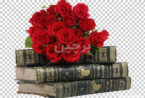 Borchin-ir-old books and rose flower photo_png دانلود عکس کتاب های قدیمی و دسته های گل های رز روی آن۲