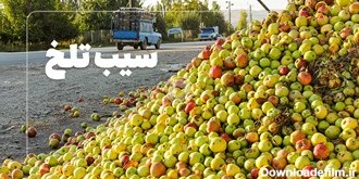فیلم| داستان سیب‌هایی که آب دریاچه ارومیه را می‌بلعند