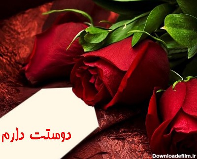 عکس نوشته زیبا گل رز دوستت دارم برای پروفایل