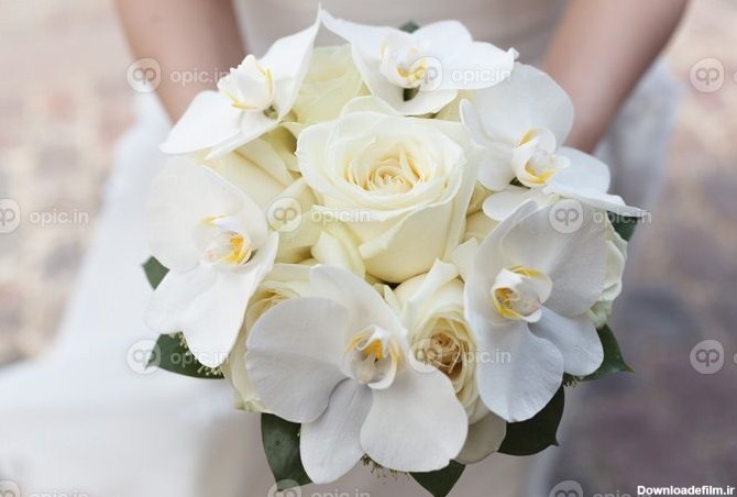 دانلود دسته گل عروسی سفید از گل سرخ و ارکیده در دست عروس | اوپیک