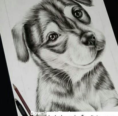 عکس طرح نقاشی سگ