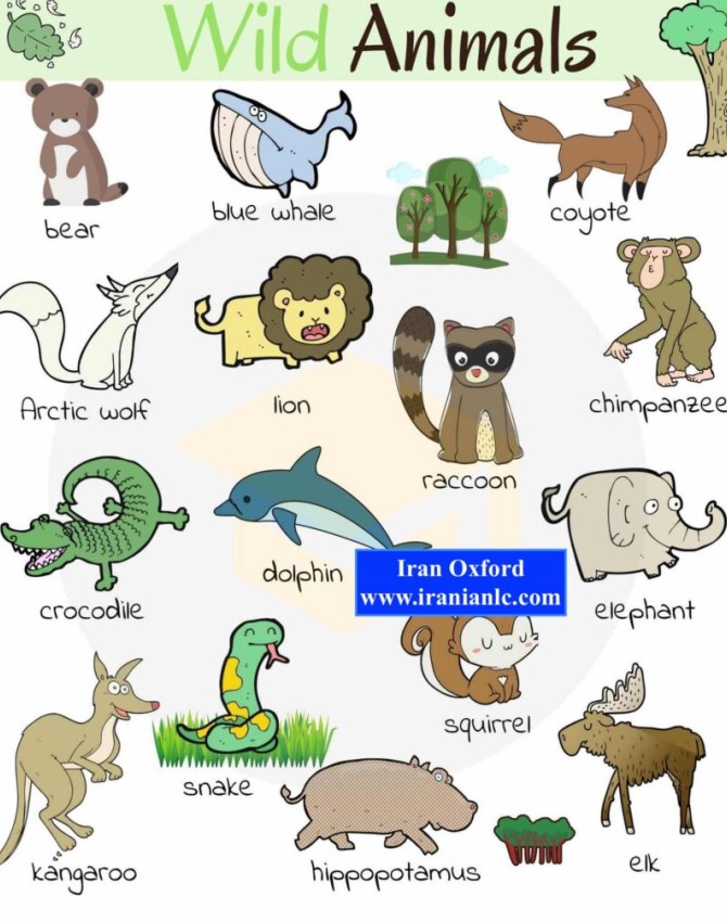 حیوانات وحشی در زبان انگلیسی
