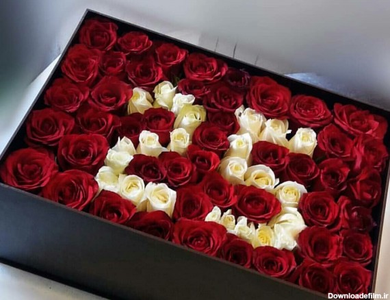 باکس گل تولد | ارسال آنلاین گل و هدیه به ایران با گلبازار سورپرایز