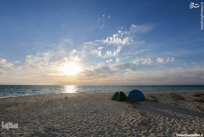مشرق نیوز - عکس/ زیبایی‌های ساحل خلیج فارس