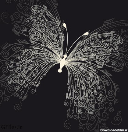 وکتور پس زمینه پروانه خطی در زمینه سیاه (Background Butterfly)