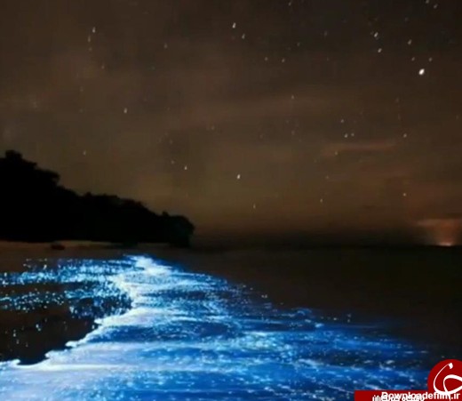 روشنایی‌های طبیعی دریا +تصاویر