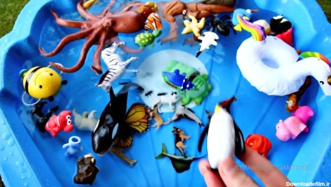 آموزش انگلیسی نام حیوانات دریایی و آبی به کودکان
