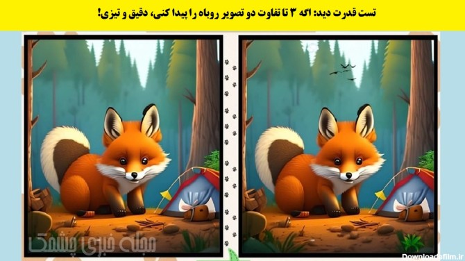 تست قدرت دید: اگه 3 تا تفاوت دو تصویر روباه را پیدا کنی، دقیق و تیزی!