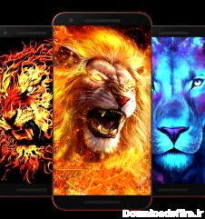 دانلود برنامه Lion Wallpaper HD برای اندروید | مایکت