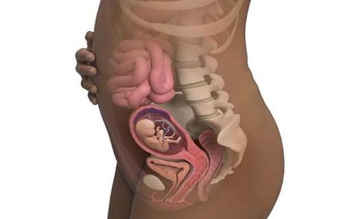 ماه چهارم بارداری - تغییرات اندازه شکم مادر و 16 فاکتور رشد جنین ...