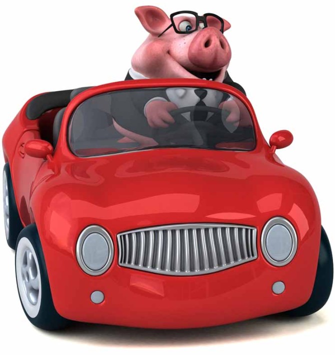 عکس کارتونی خوک و ماشین سواری