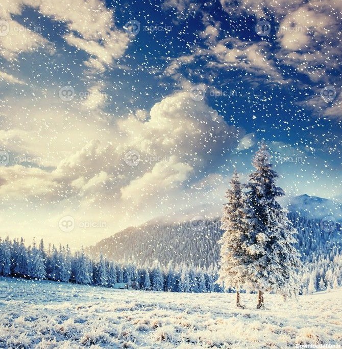 دانلود عکس پس زمینه منظره زمستانی جادویی با مقداری نرم | اوپیک