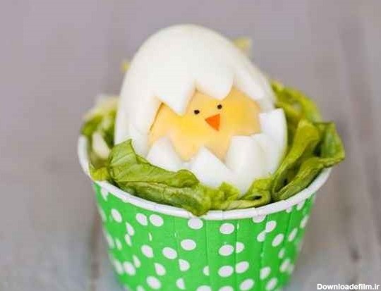 تزیین غذای کودک با تخم مرغ آب پز + تصاویر