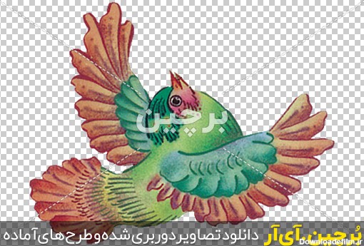 Borchin-ir- Persian-Eslimi-Bird-PNG-Image-31 گل و مرغ نقاشی های قدیمی png