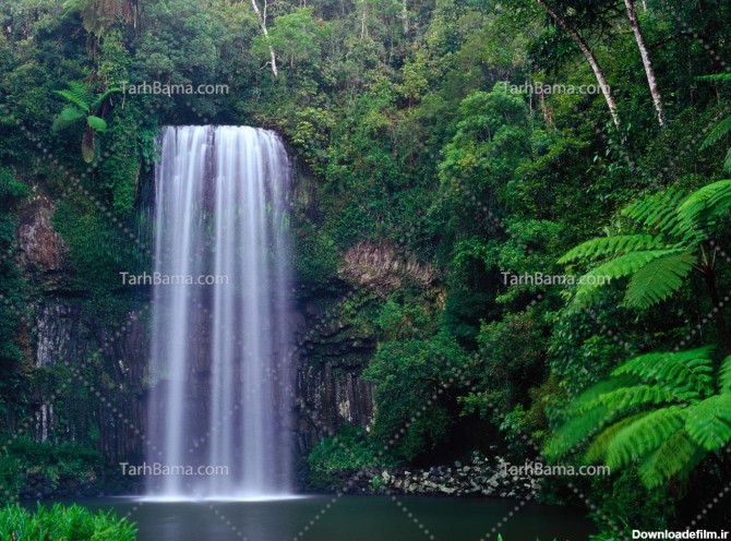 تصویر با کیفیت آبشار در منظره سرسبز